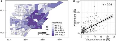 Beauty or Blight? Abundant Vegetation in the Presence of Disinvestment Across Residential Parcels and Neighborhoods in Toledo, OH